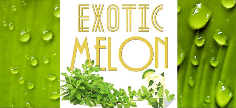Melon Exotic