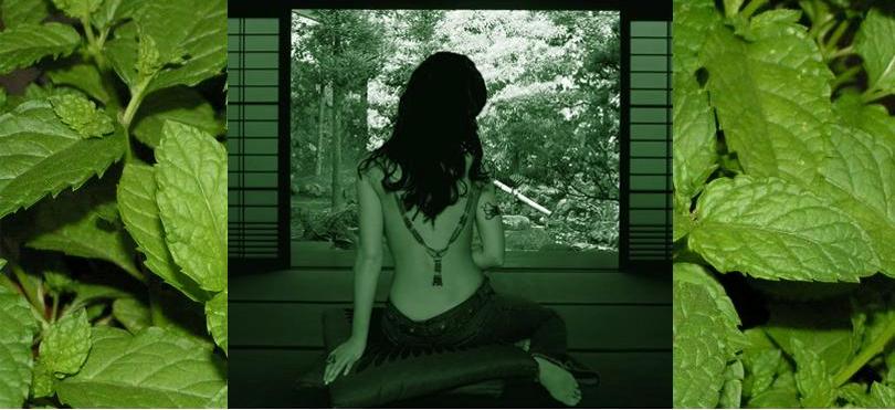 Menta